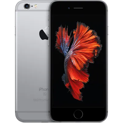 iPhone6S
