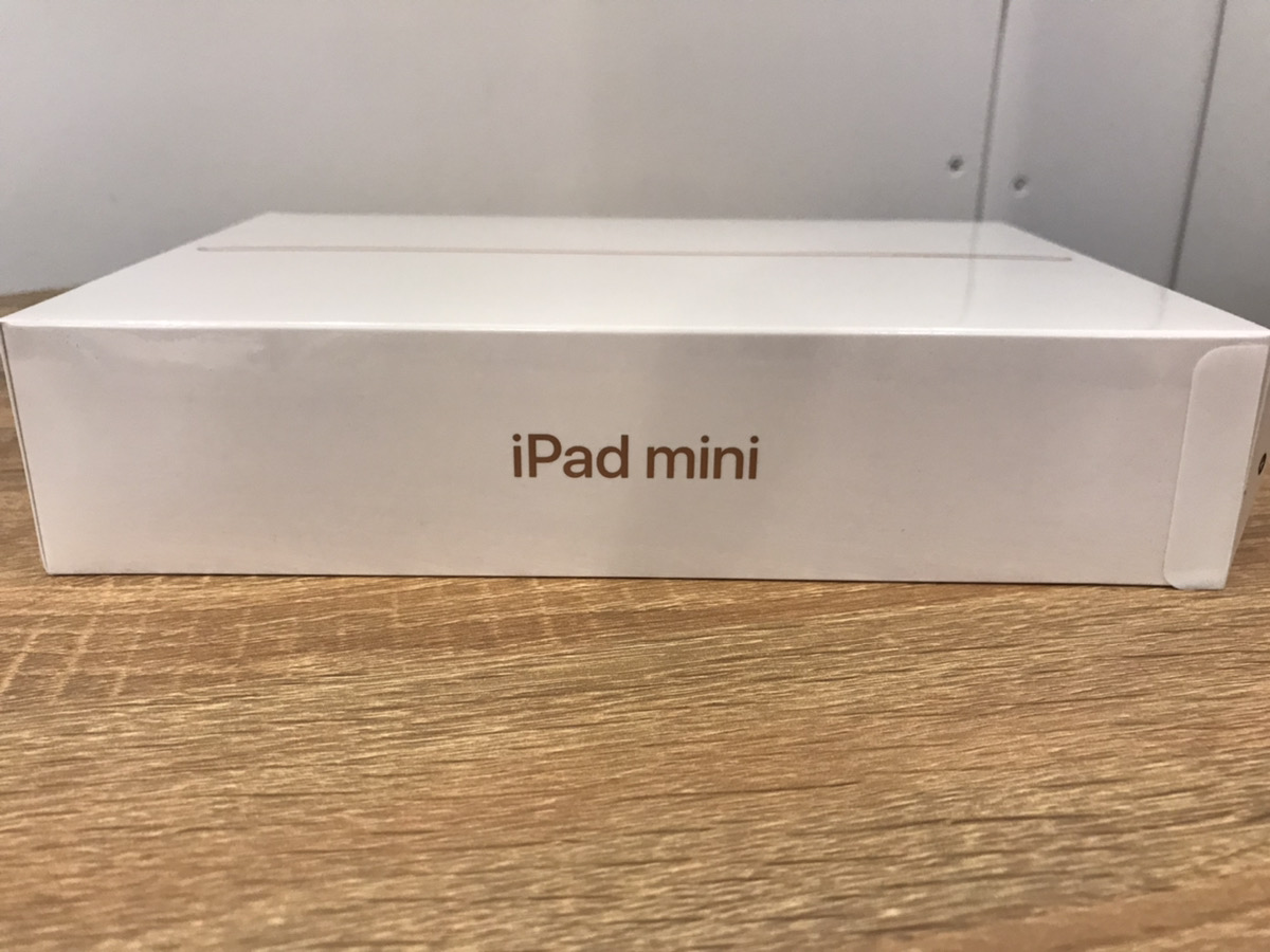 iPad mini 5 (256GB)