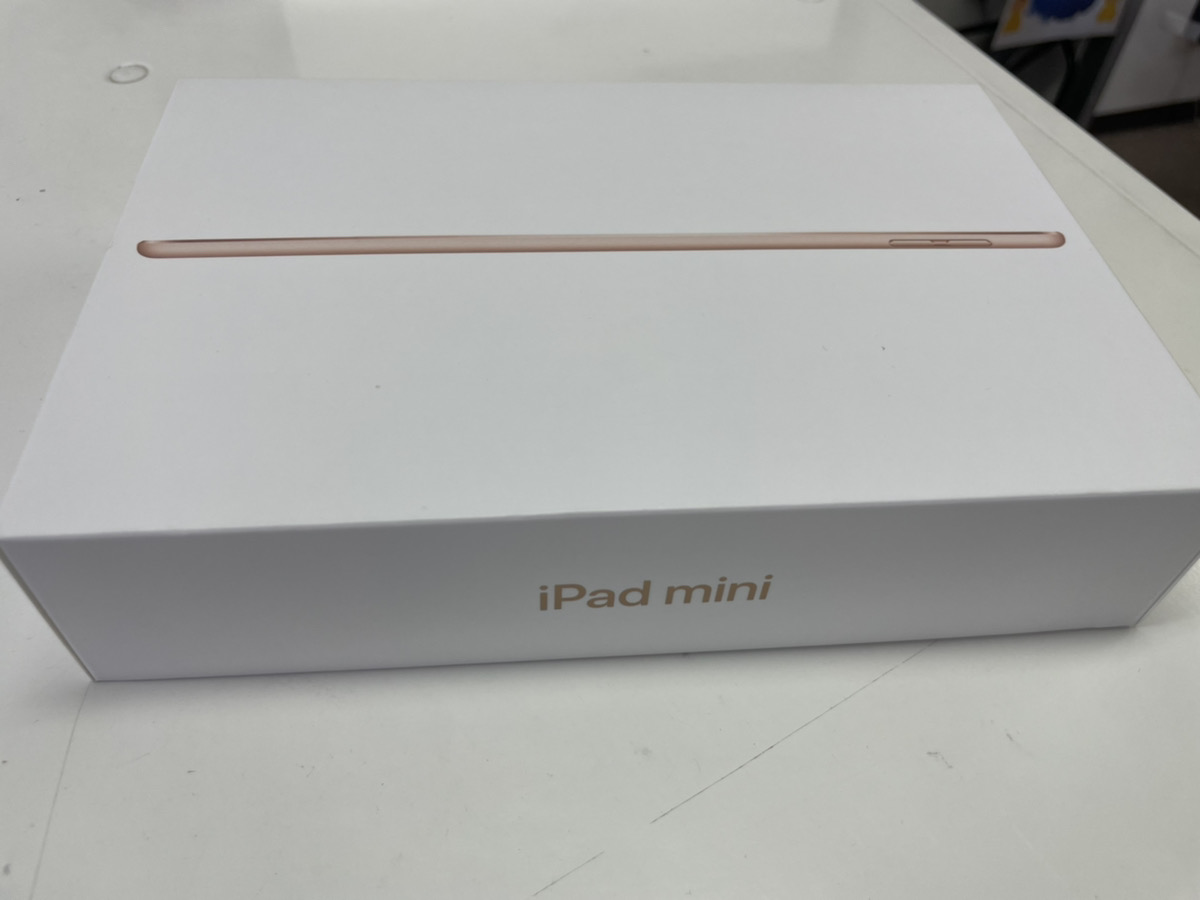 iPad mini5	64GB	ゴールド	Wi-Fiモデル		中古品