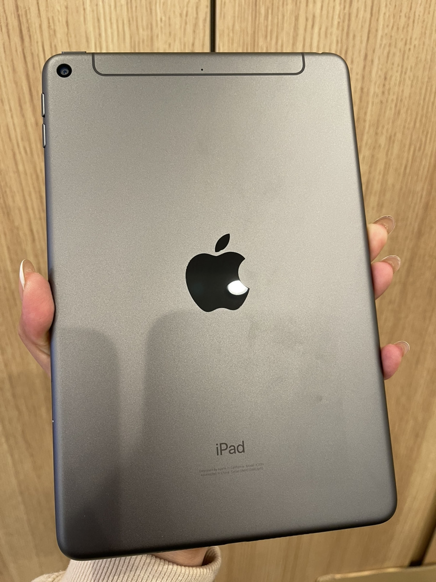 iPad mini 5 グレー  256GB  セルラーモデル  AppleSIMフリー　背面ケース跡あり　中古本体のみ