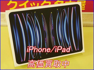 iPad Pro11 の買い取り実績（岐阜駅前店 ）
