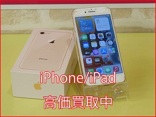 iPhone 8の買い取り実績（名古屋駅前店）