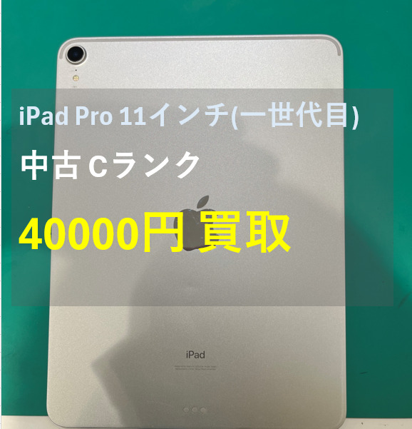 iPad Pro 11インチ　第一世代 256GB SIMフリー  Cランク【戸塚モディ店】