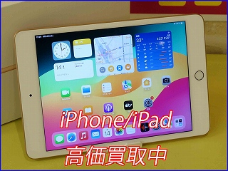 iPad mini5 の買い取り実績（岐阜駅前店）