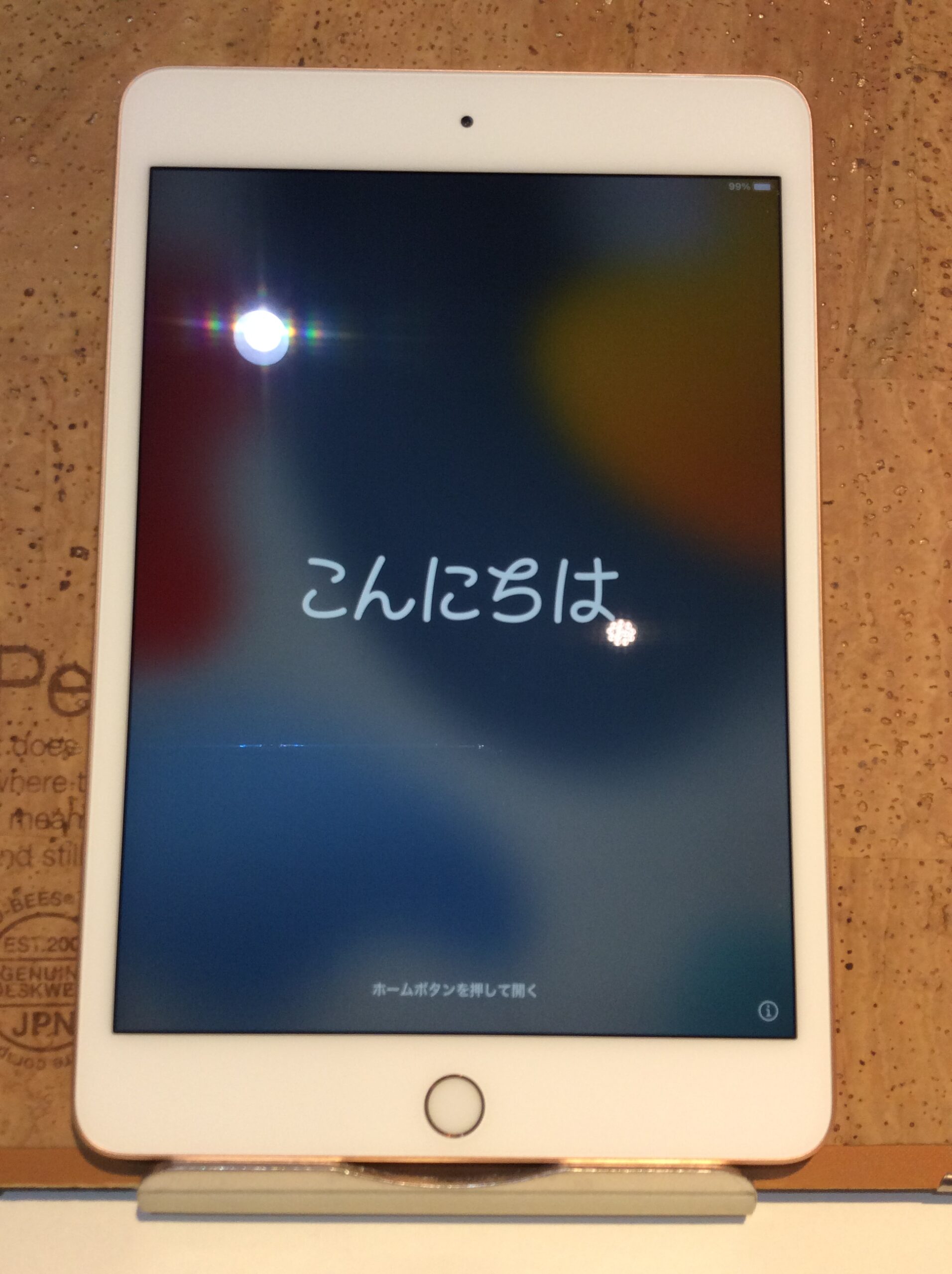 Apple iPad mini第5世代(アップル アイパッド ミニ5),256GB,docomo版 Cellularモデル,中古正常品