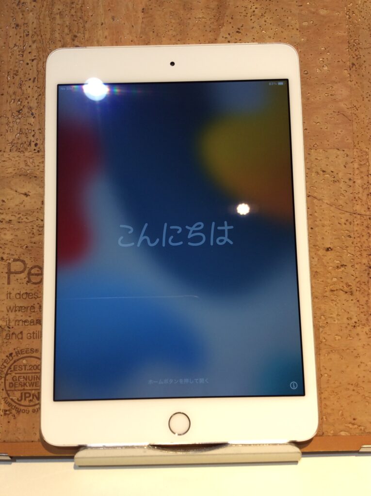 Apple iPad mini第5世代(アップル アイパッド ミニ5),256GB,SIMフリー版 Cellularモデル,中古正常品