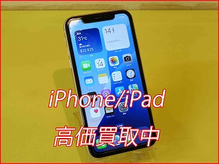 iPhone 11の買い取り実績（名古屋駅前店）