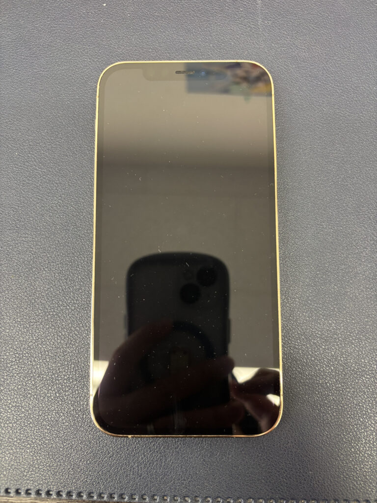iPhone12Pro画像