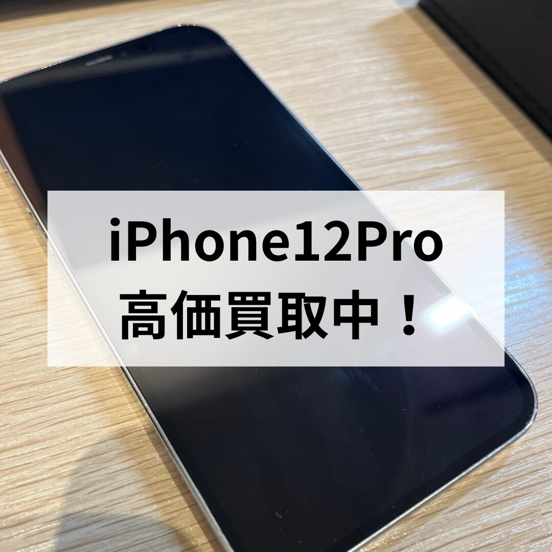 iPhone12Pro・256GB・docomo・ネット制限〇【天神地下街店】