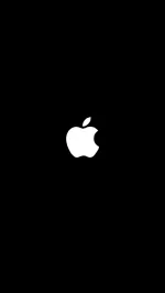 Appleマークが出たら初期化完了