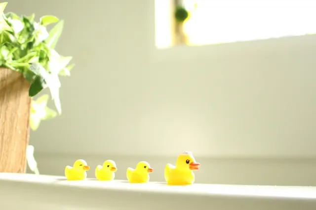 水場などで使用する際の注意点