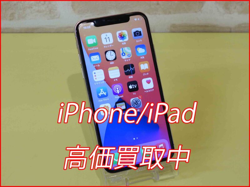 iPhoneX