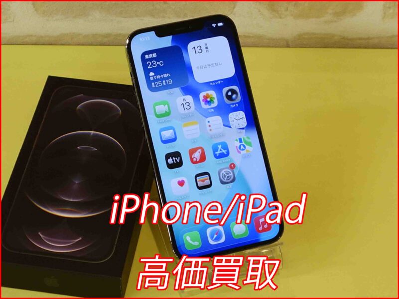 iPhone12ProMax