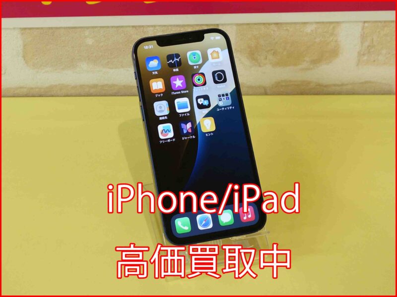 iPhone 12