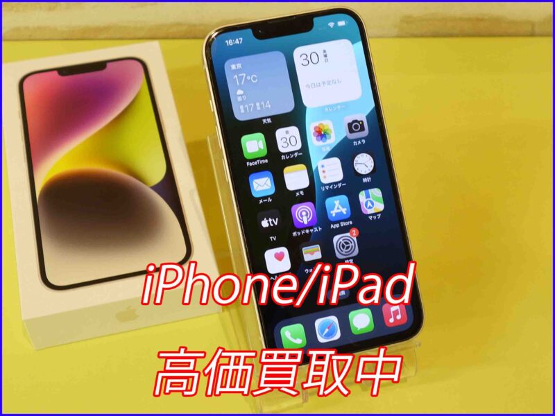 iPhone 14
