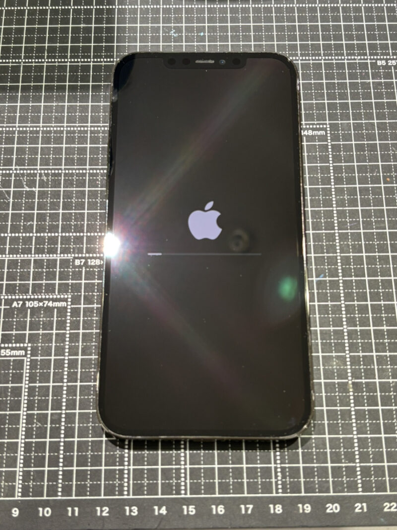 iPhone12 Pro Max