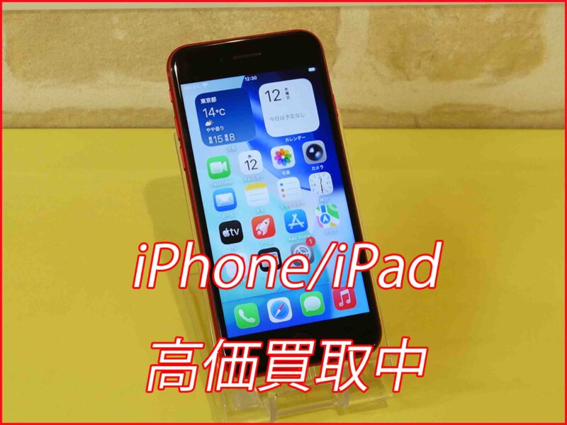 iPhoneSE第3世代