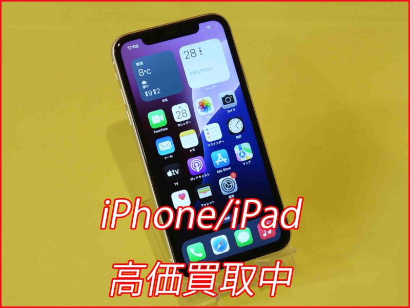 iPhone11