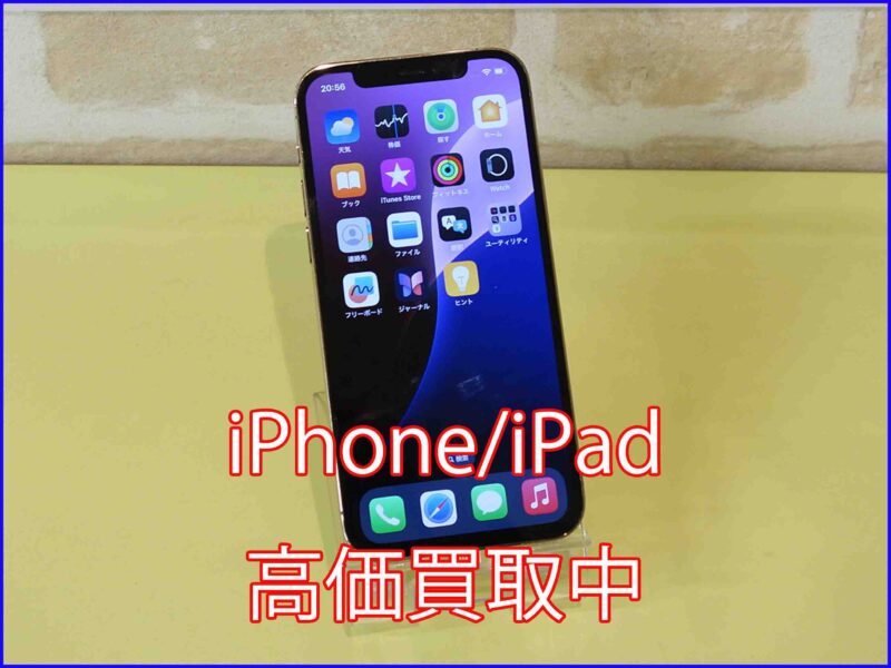 iPhone13mini