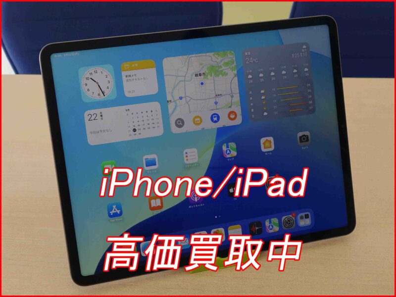 iPad Pro 12.9 第5世代