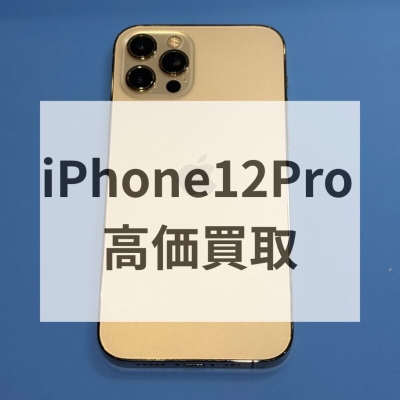 iPhone 12 Pro Max 256GB ジャンク品 値下げ可能 iPhone12 Pro Max 