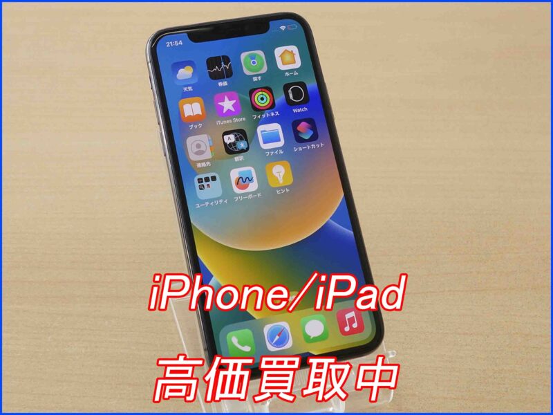 iPhone X