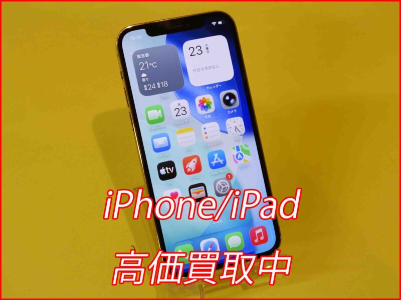 iPhone 12ProMax