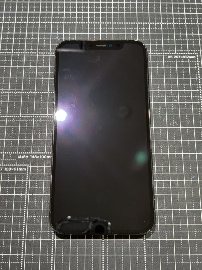 iPhone 12 Pro