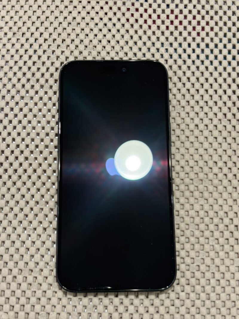 iPhone X