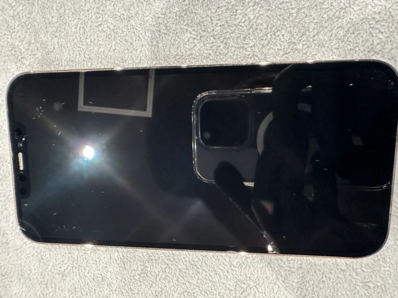 【なんばウォーク店】iPhone 12 Pro Max 256GB を29,000円で買取しました！