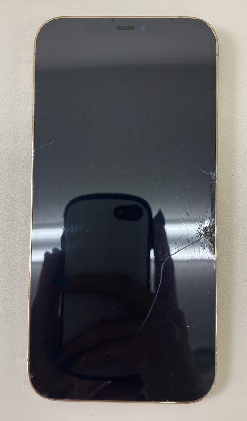 iPhone 12 Pro Max