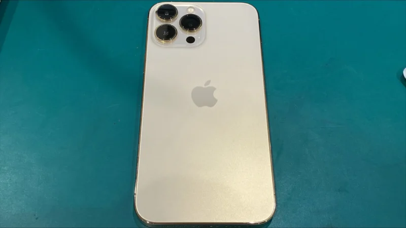 iPhone 13 Pro Max