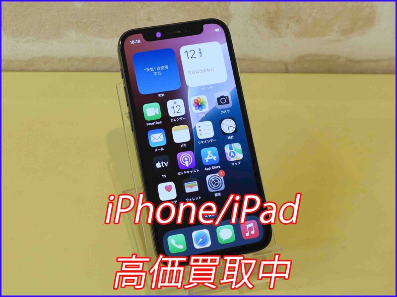 iPhone 12mini