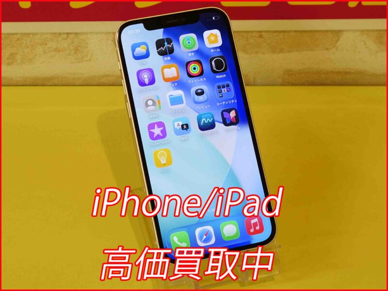 iPhone 12