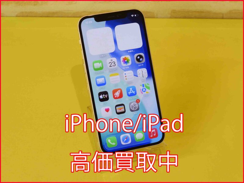 iPhone 12