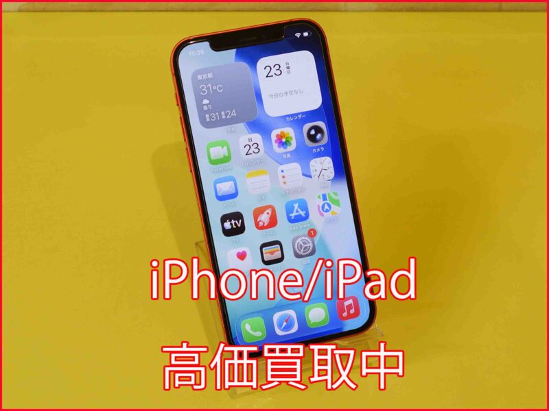 iPhone 12