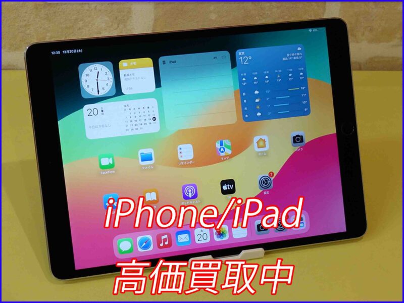 iPad Pro 10.5