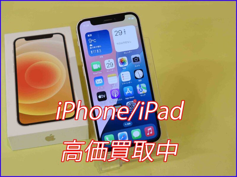 iPhone 12mini
