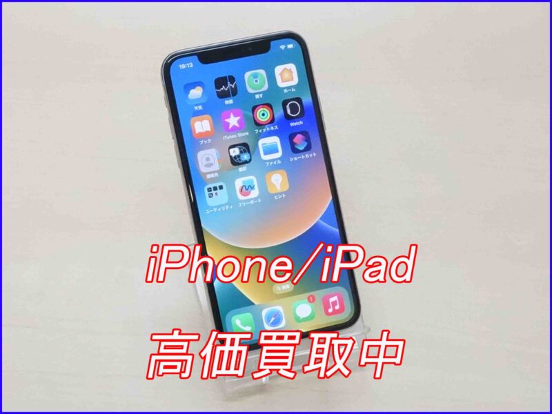 iPhone X