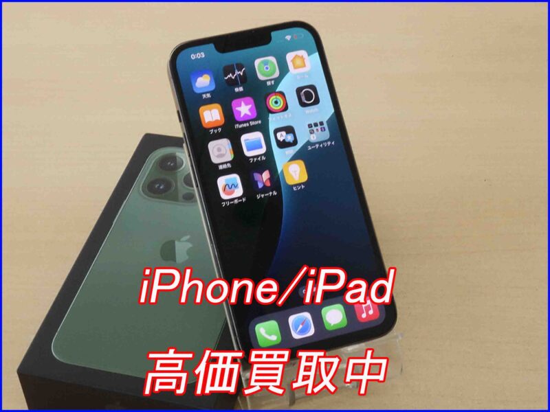 iPhone 13ProMax