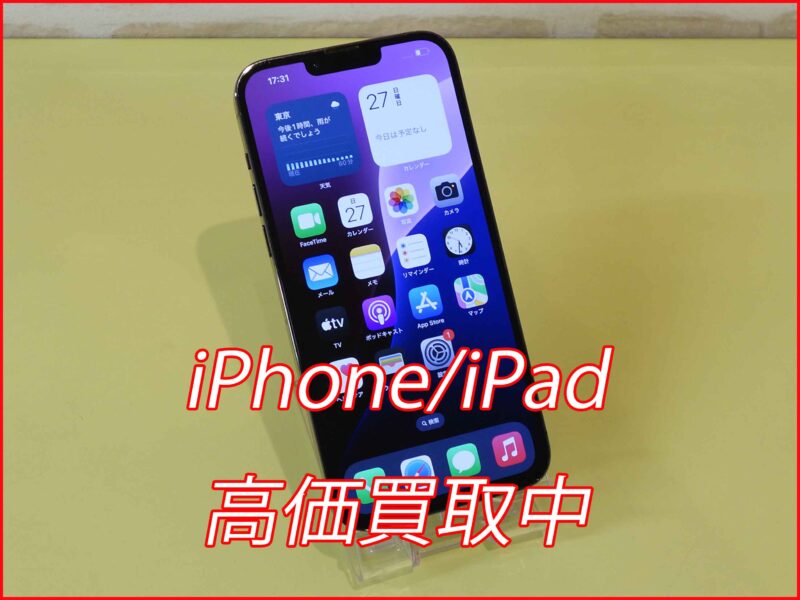 iPhone 13 Pro Max