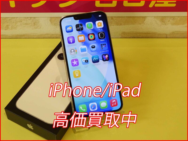 iPhone 14ProMax