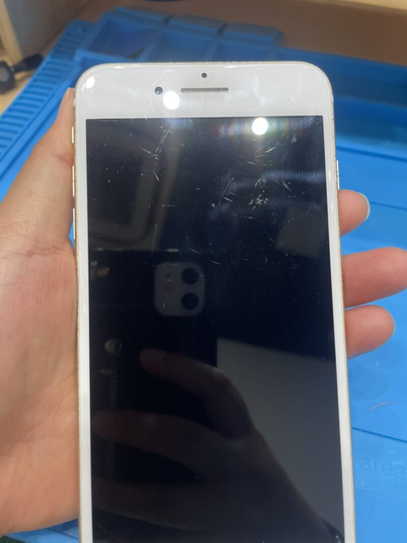 iPhone 7 Plus